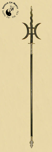 large spear